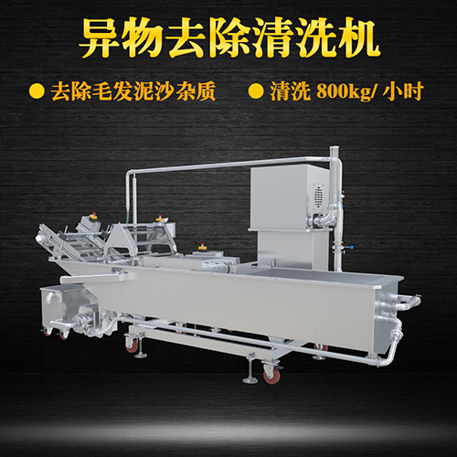 高質蔬菜清洗機，氣泡清洗，清洗800kg小時