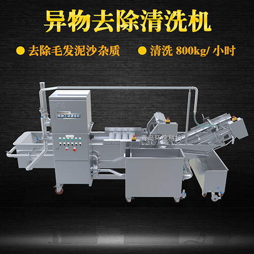 果蔬清洗機設備，氣泡清洗，清洗800kg小時